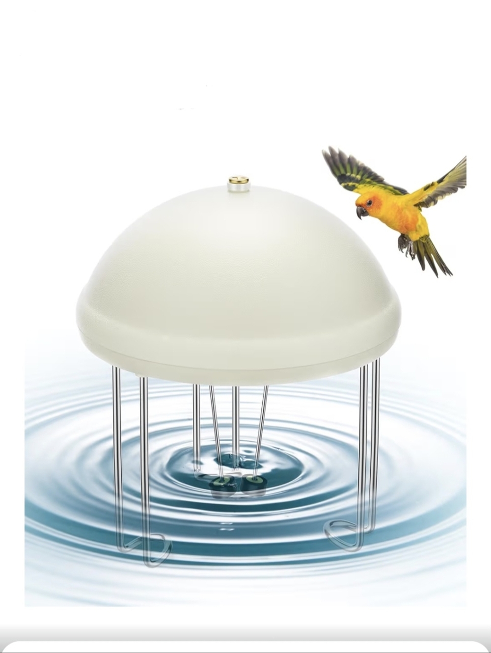 NIB Buzzlett Bird Bath Circulator